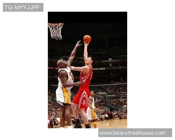 姚明与罗伯特的篮球传奇对决展现了体育精神与友谊的完美结合