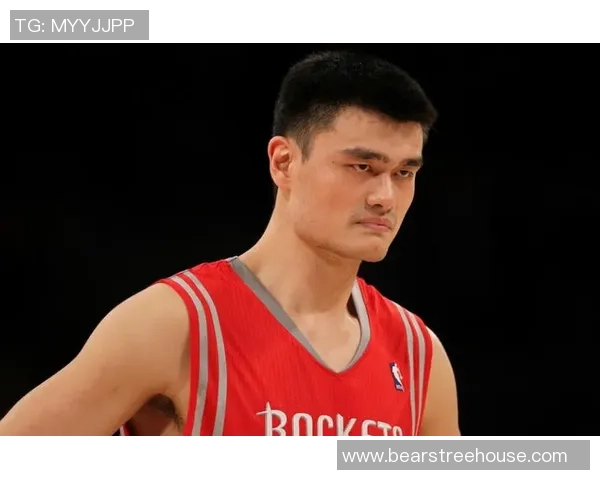 贝尔姚明下载资源分享了解他们的职业生涯与成就的精彩内容